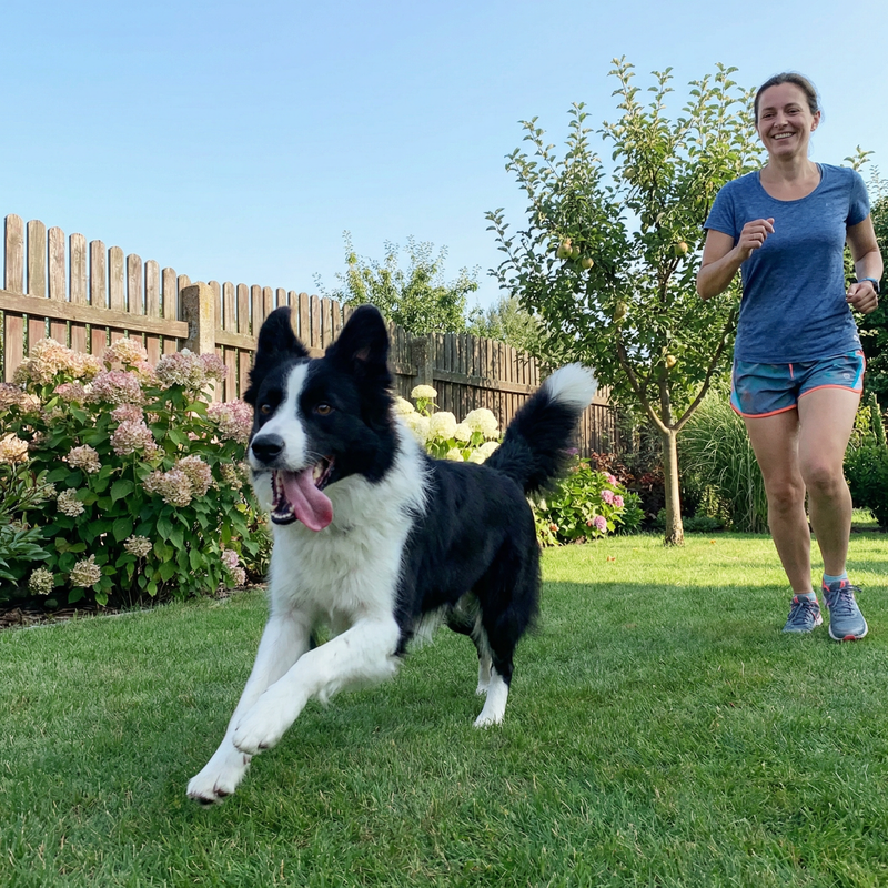 Szczęśliwy pies po stosowaniu Pawmate Kolagen