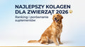 Najlepszy kolagen dla psa — ranking 2026