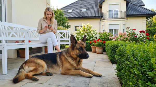 7 sygnałów problemów ze stawami u psa - rozpoznaj je wcześnie