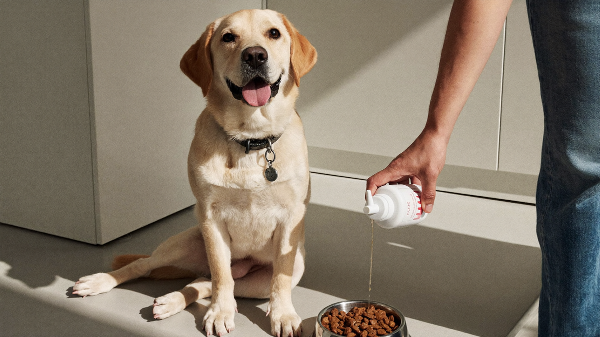 Pawmate vs ArthroVet: kolagen dla psa