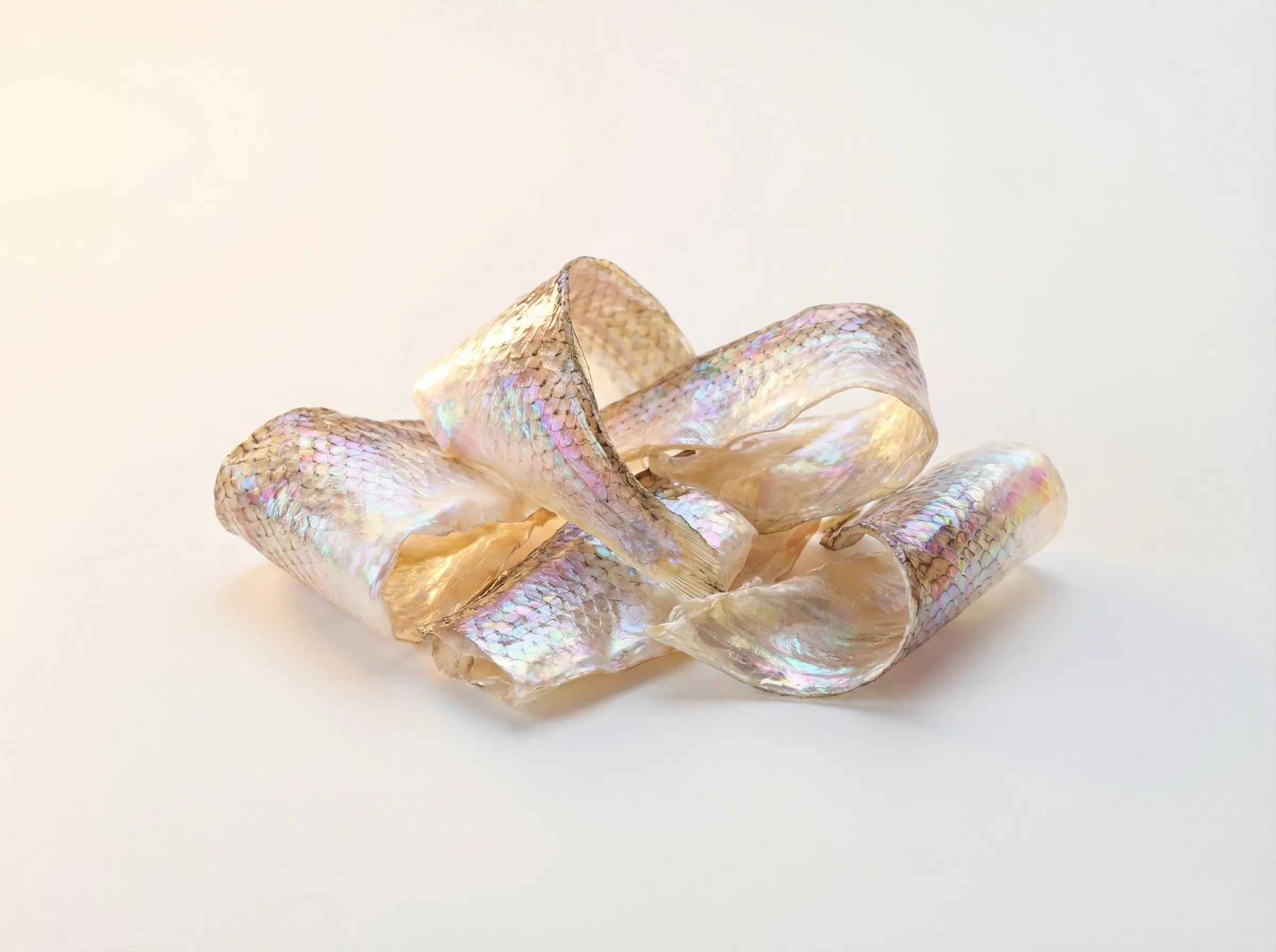 Kolagen rybi hydrolizowany - składnik kolagenu Pawmate