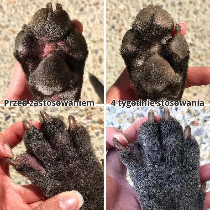 Zdrowsze łapki po 4 tygodniach stosowania Pawmate - porównanie przed i po