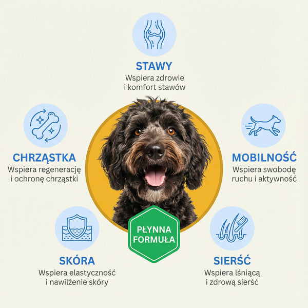 Pawmate Kolagen dla Psa