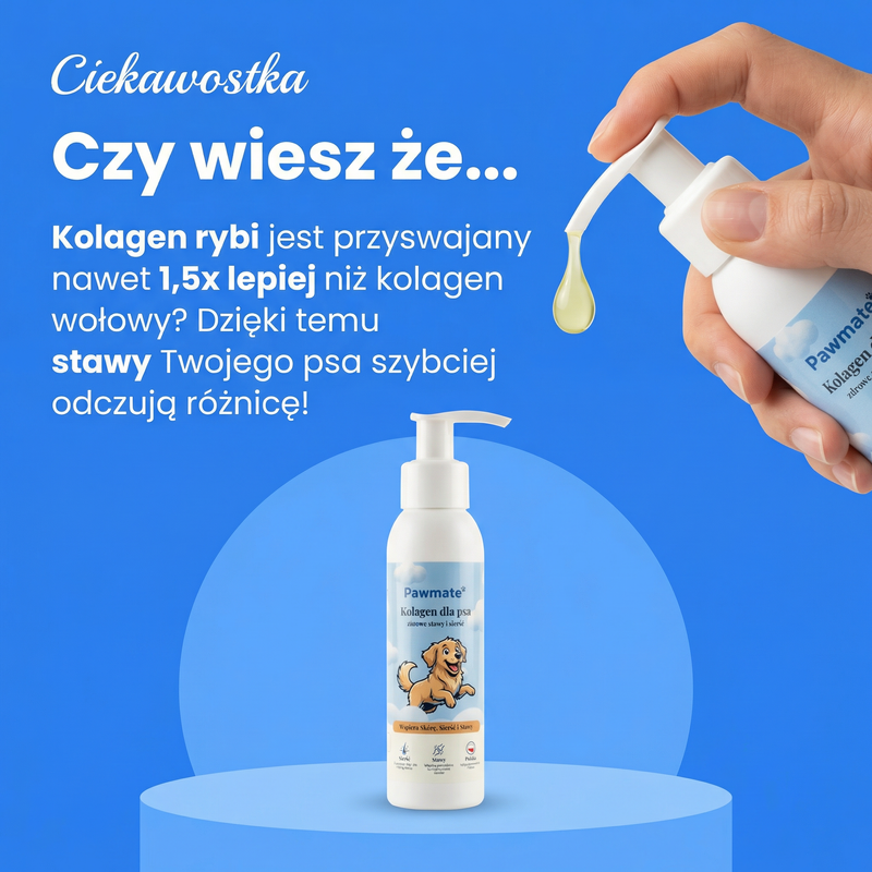 Pawmate Kolagen dla Psa