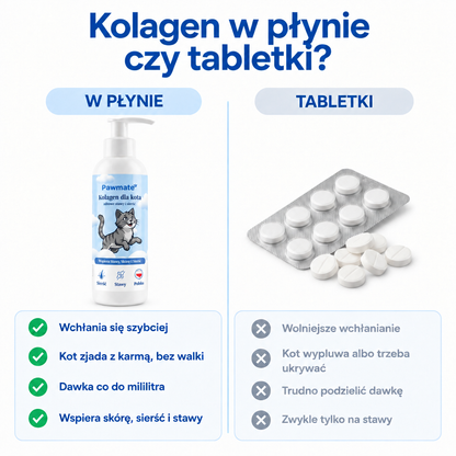 Kolagen dla kota w płynie czy tabletki – porównanie