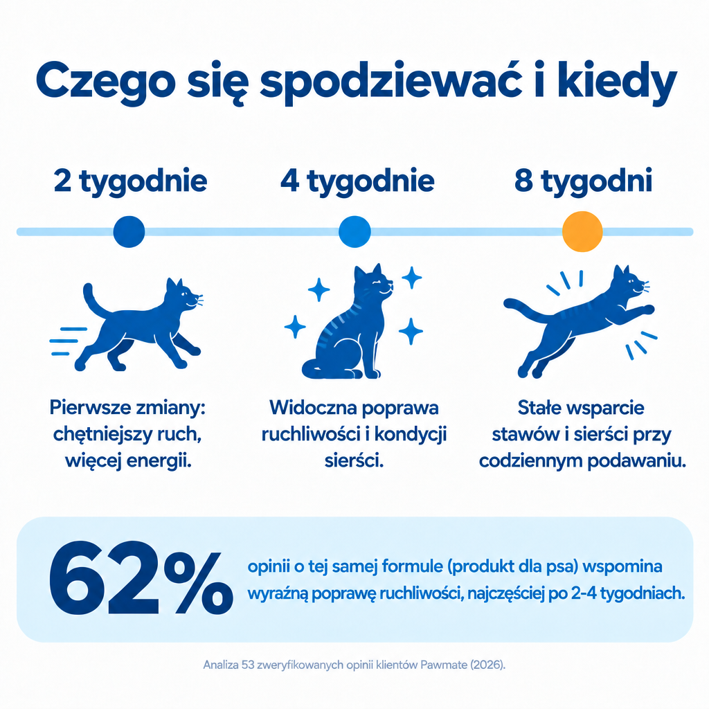 Czego się spodziewać po Pawmate Kolagen dla Kota – 2, 4 i 8 tygodni regularnego podawania