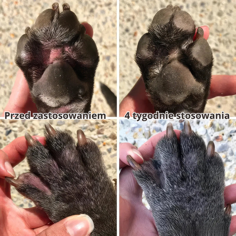 Zdrowsze łapki po 4 tygodniach stosowania Pawmate - porównanie przed i po
