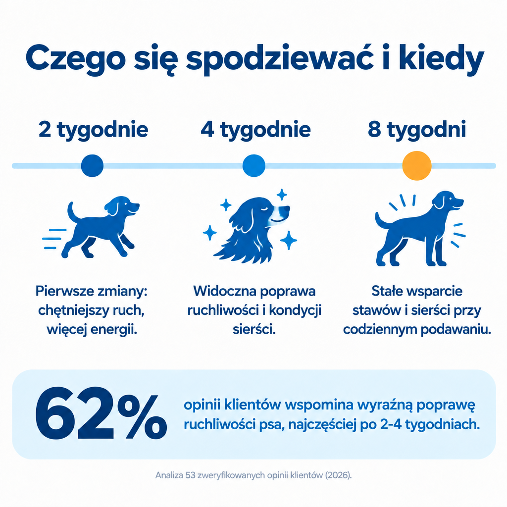 Czego się spodziewać po Pawmate Kolagen dla Psa – 2, 4 i 8 tygodni regularnego podawania
