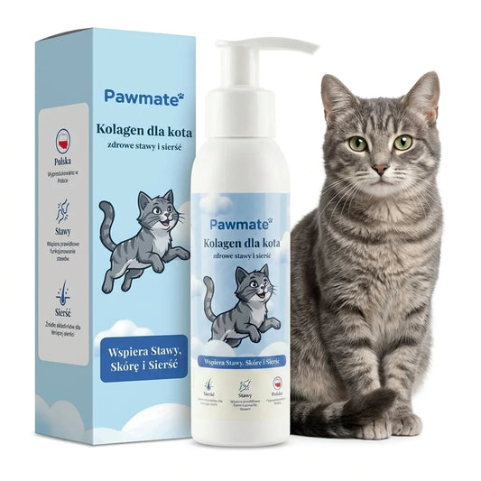Pawmate Kolagen dla Kota - opakowanie i butelka z pompka 100 ml, obok kot
